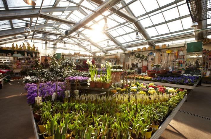 stricker-blumen 6015.jpg