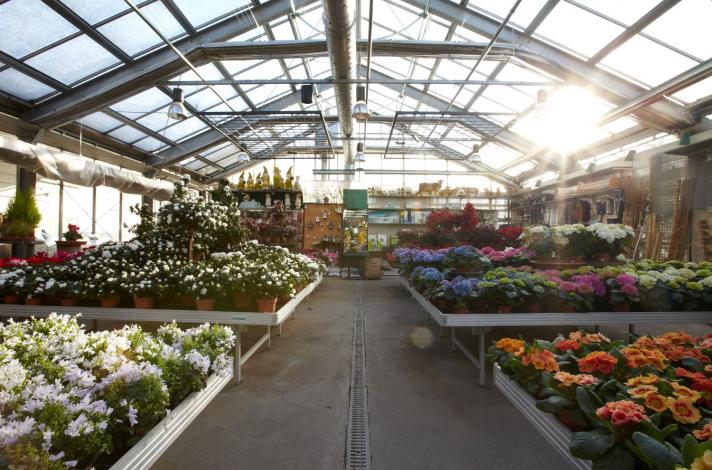 stricker-blumen 5994.jpg