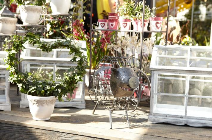 stricker-blumen 0201.jpg