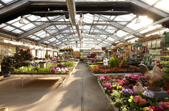 stricker-blumen 0001.jpg