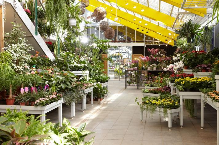 stricker-blumen 0291.jpg